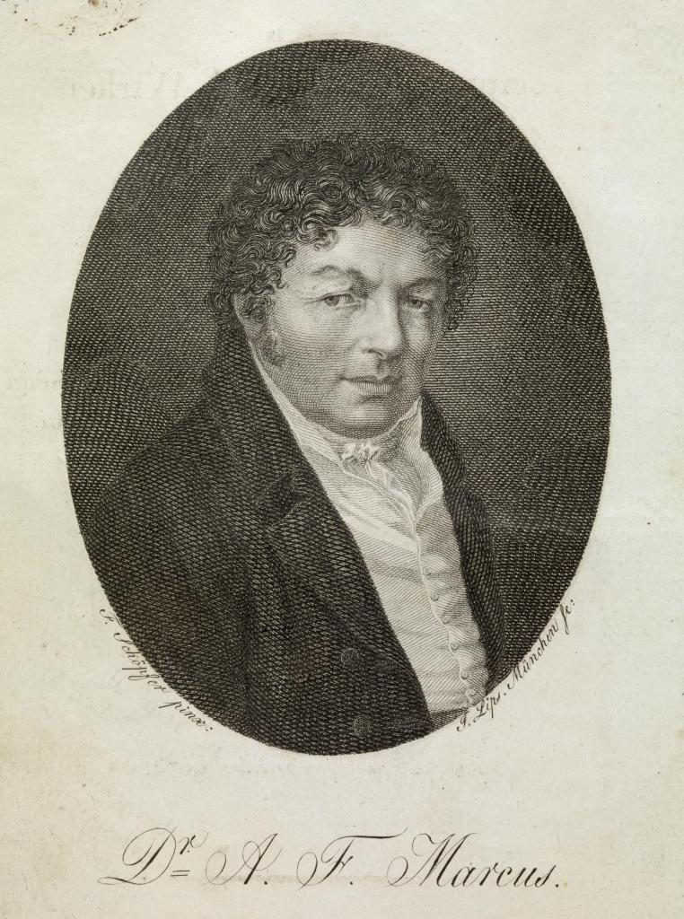 Der Retter: Dr. Adalbert Friedrich Marcus, historische Ansicht der Altenburg