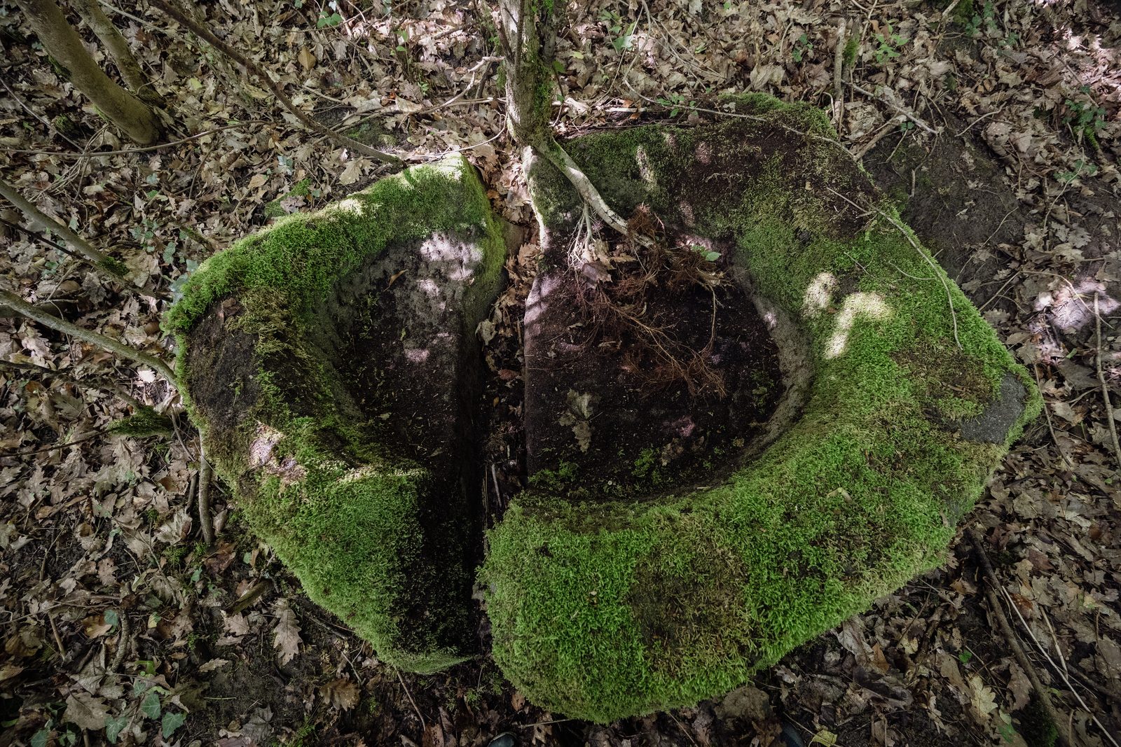 Verschollene Wege im Wald: vergessene Stufen & mystische Steine, historische Ansicht der Altenburg